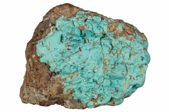 Tumbled Turquoise Specimen - Number Mine, Carlin, NV #292293